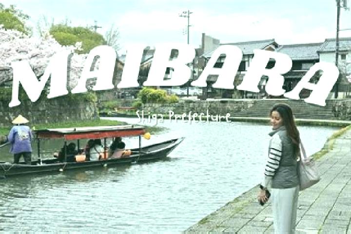 Willow, 39 — Escort in Maibara, Japan