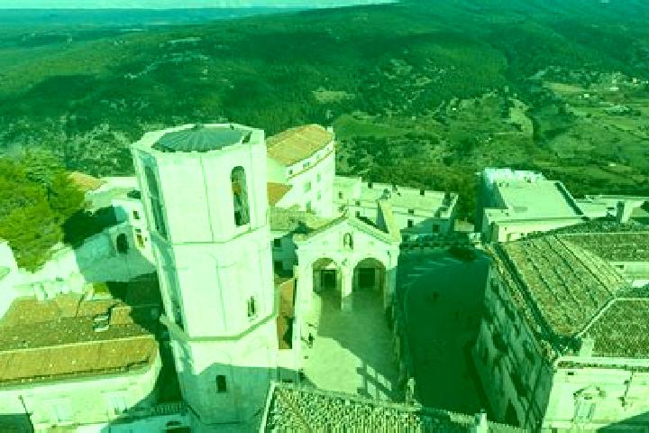 Willow, 39 — Escort in Monte Sant Angelo, Italy