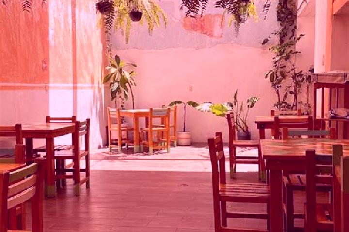 Willow, 39 — Escort in San Jeronimo Taviche, Mexico