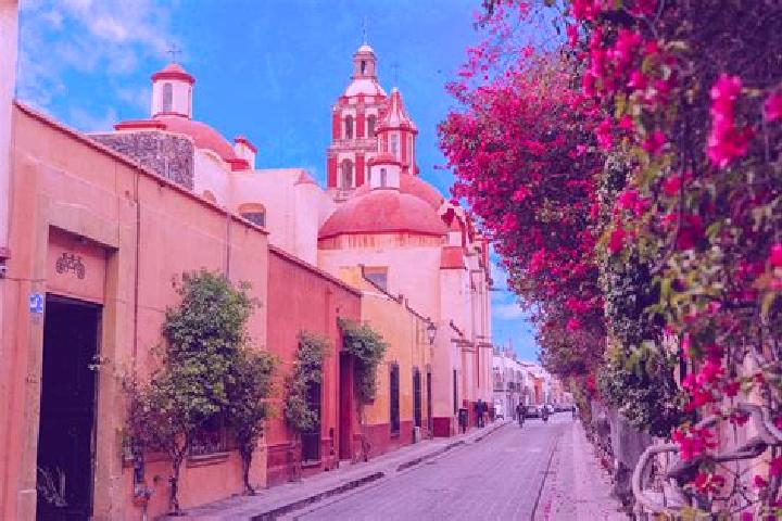 Willow, 39 — Escort in Santa Rosa Finca, Mexico