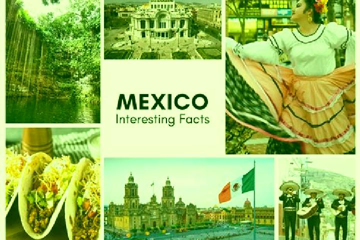 Willow, 39 — Escort in Tamandaro, Mexico