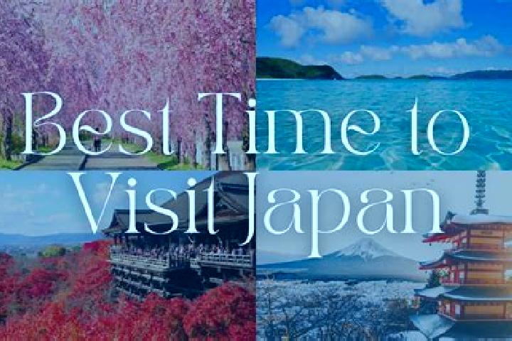 Willow, 39 — Escort in Toki, Japan