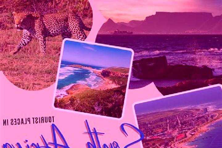 Willow, 39 — Escort in Van Stadensrus, South Africa