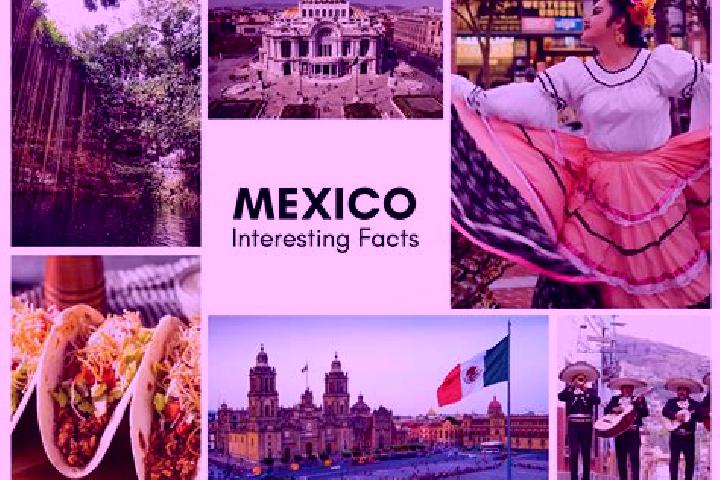 Willow, 39 — Escort in Zoyatzingo, Mexico