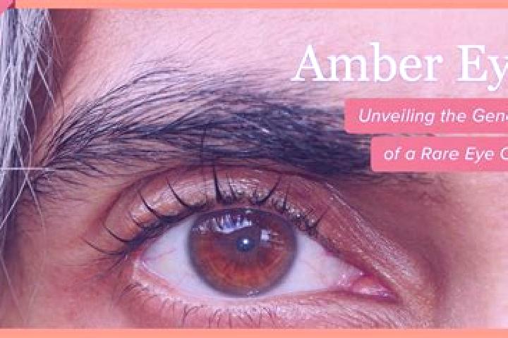 Zoe, 20, a red amber-eyed caribbean companion based in Kasota. Offering Roleplay, Erotic Massage, A-Level. Available for incall and outcall, overnight bookin...