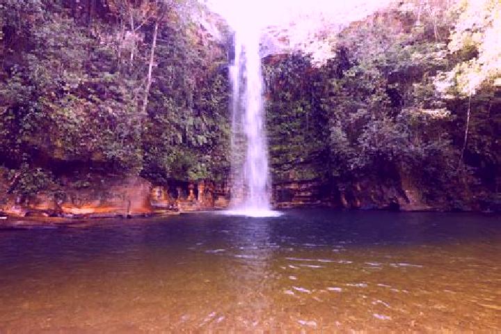 Zoe, 20 — Escort in Cachoeira dos Indios, Brazil