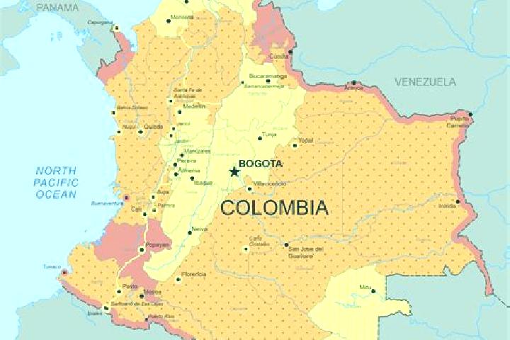 Zoe, 20 — Escort in Chia, Colombia