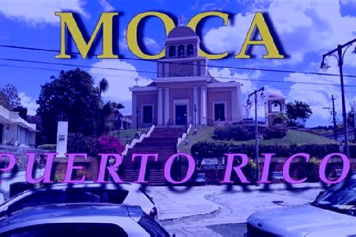 Zoe, 20 — Escort in Moca, Puerto Rico