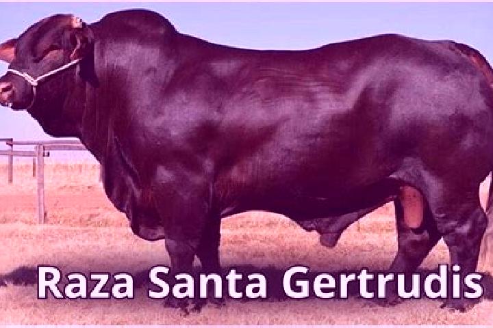 Zoe, 20 — Escort in Santa Gertrudis (Colonia Santa Gertrudis), Mexico