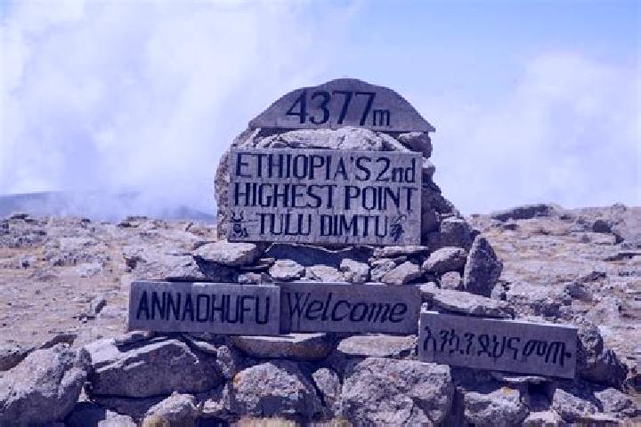 Zoe, 20 — Escort in Tulu Bolo, Ethiopia