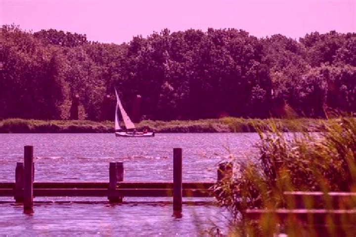 Zoe, 21 — Escort in Krimpen aan den IJssel, Netherlands