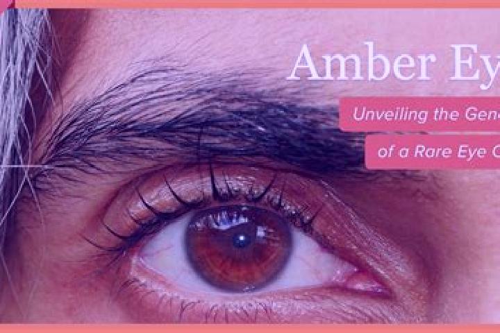 Zoe, 22, a black amber-eyed mixed companion based in Kurkent. Offering Couples, Deep French Kissing, GFE. Available for incall and outcall, overnight booking...