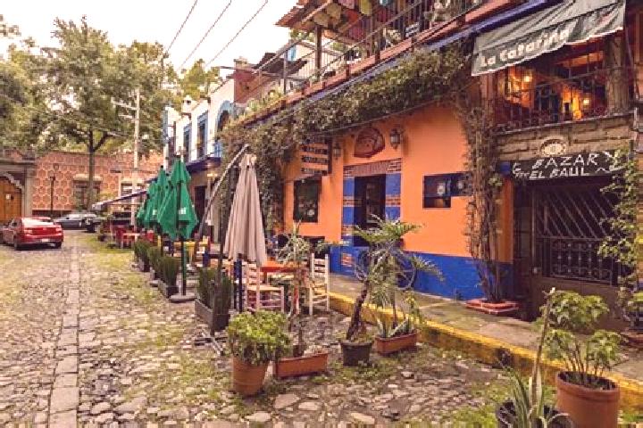 Zoe, 22 — Escort in Coyoacan, Mexico