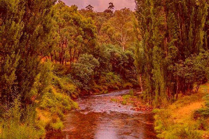 Zoe, 22 — Escort in Little River, Australia