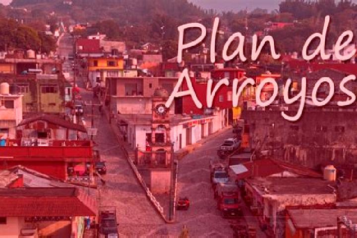 Zoe, 22 — Escort in Plan de Arroyos, Mexico