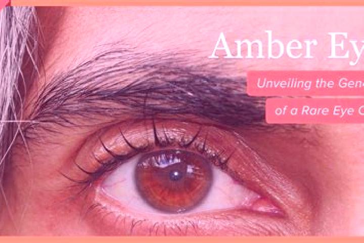 Zoe, 23, a black amber-eyed mixed companion based in Neualm. Offering Overnight, GFE, Domination, Erotic Massage. Available for incall and outcall, overnight...