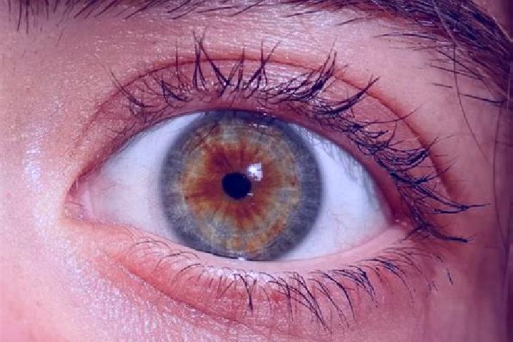 Zoe, 23, a red hazel-eyed mediterranean companion based in Paulo Jacinto. Offering BDSM, Domination, GFE, Roleplay, CIM. Available for incall and outcall, ov...
