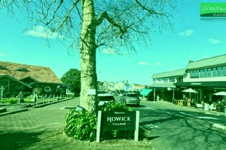Zoe, 23 — Escort in Howick, New Zealand