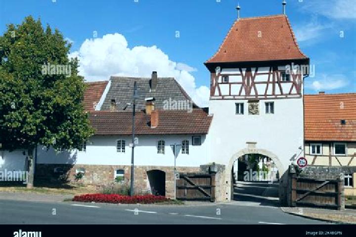 Zoe, 24 — Escort in Bad Konigshofen im Grabfeld, Germany