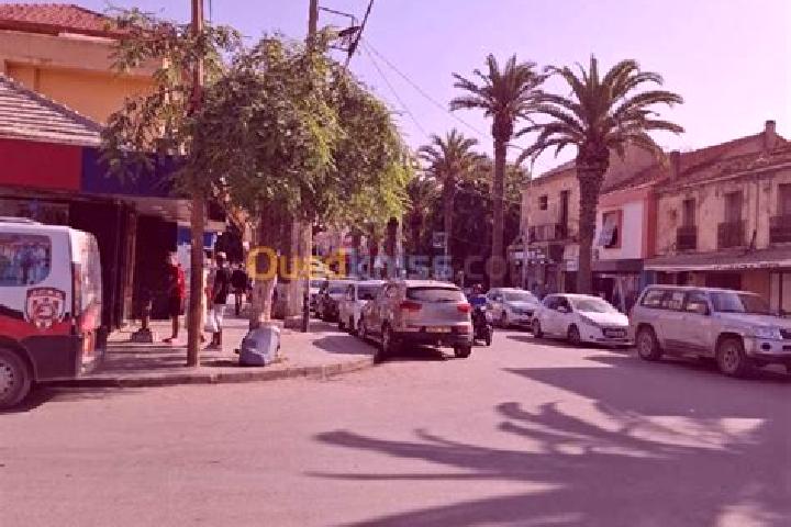 Zoe, 24 — Escort in Bordj el Kiffan, Algeria
