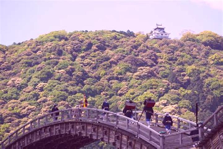 Zoe, 24 — Escort in Iwakuni, Japan