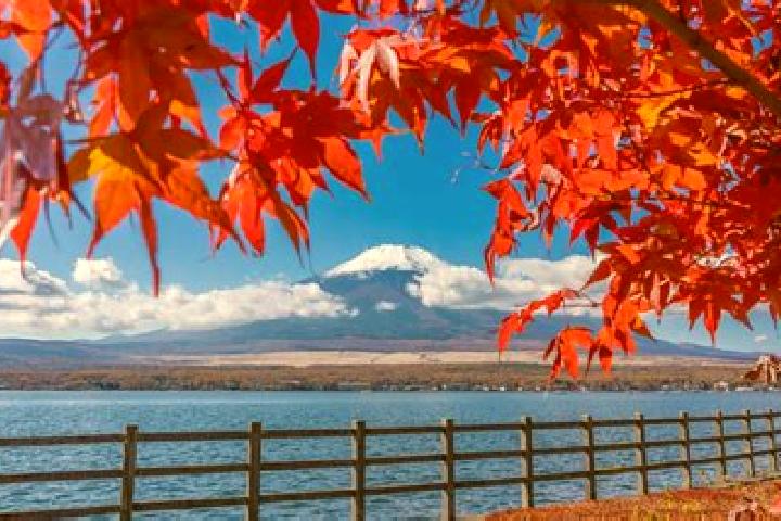 Zoe, 24 — Escort in Obuse, Japan