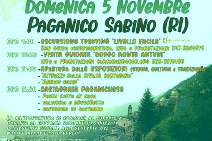 Zoe, 24 — Escort in Paganico Sabino, Italy