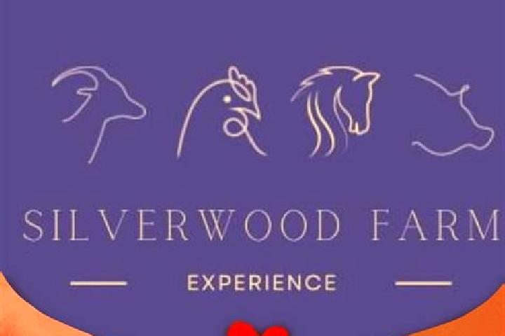 Zoe, 24 — Escort in Silverwood, Canada