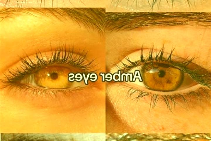 Zoe, 25, a brunette amber-eyed slavic companion based in Sound Beach. Offering Fetish, Couples, OWO, Massage, CIM. Available for incall and outcall, overnigh...