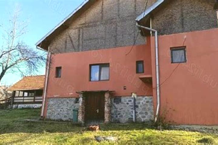 Zoe, 25 — Escort in Corbeni, Romania
