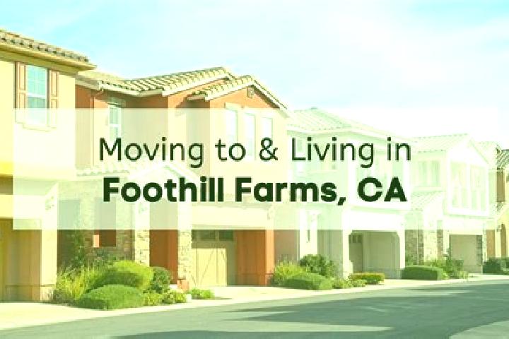Zoe, 25 — Escort in Foothill Farms, United States