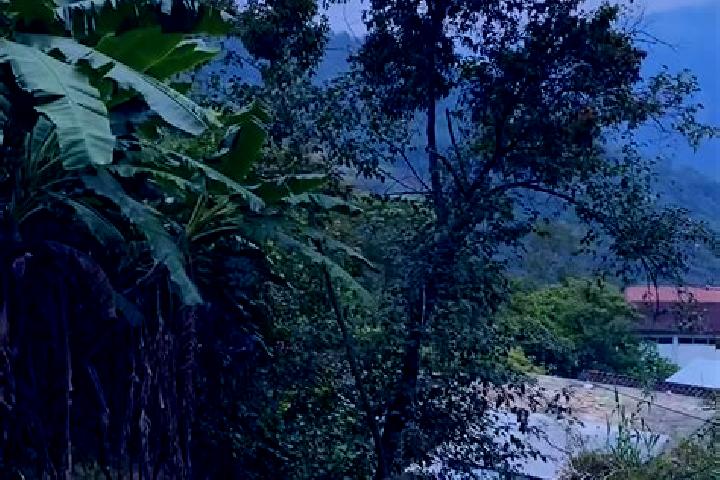 Zoe, 25 — Escort in Tlaxpanaloya, Mexico