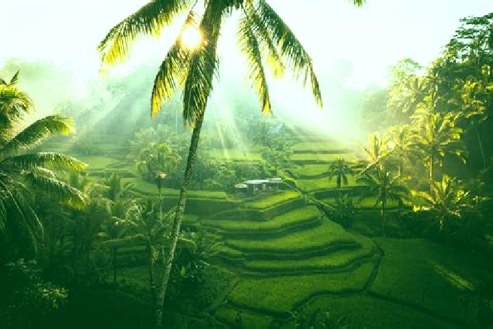 Zoe, 25 — Escort in Ubud, Indonesia