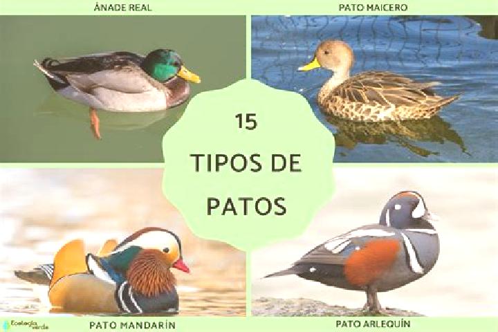 Zoe, 26 — Escort in Agua Gorda de los Patos, Mexico