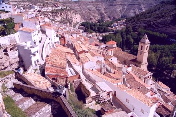 Zoe, 26 — Escort in Alcala del Jucar, Spain