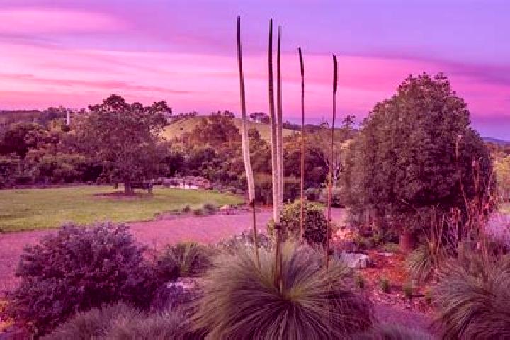 Zoe, 26 — Escort in Windsor Gardens, Australia