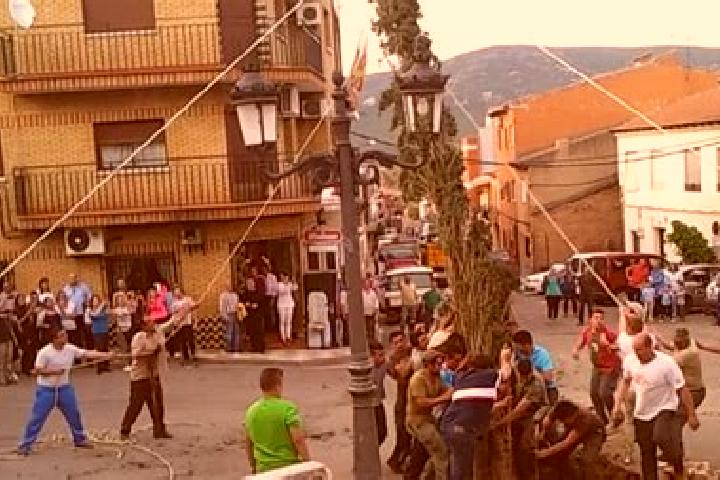 Zoe, 27 — Escort in Puebla de Don Rodrigo, Spain