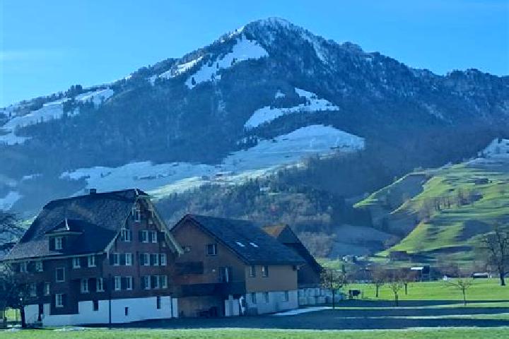 Zoe, 27 — Escort in Schlieren / Kamp, Switzerland