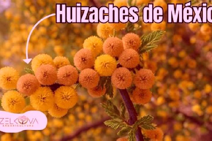 Zoe, 28 — Escort in Entronque de Matehuala (El Huizache), Mexico