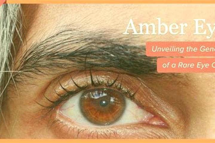 Zoe, 29, a red amber-eyed indian companion based in Thang. Offering Duos, Tantra, Roleplay. Available for incall and outcall, day and evening dates.
