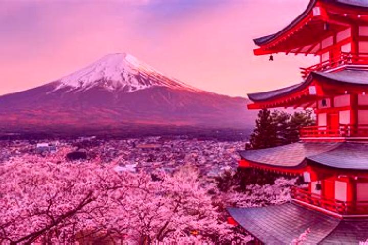 Zoe, 29 — Escort in Fujiyoshida, Japan