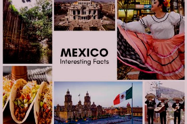 Zoe, 30 — Escort in Saladero, Mexico