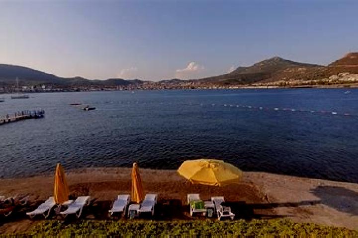 Zoe, 31 — Escort in Burunucu, Turkey