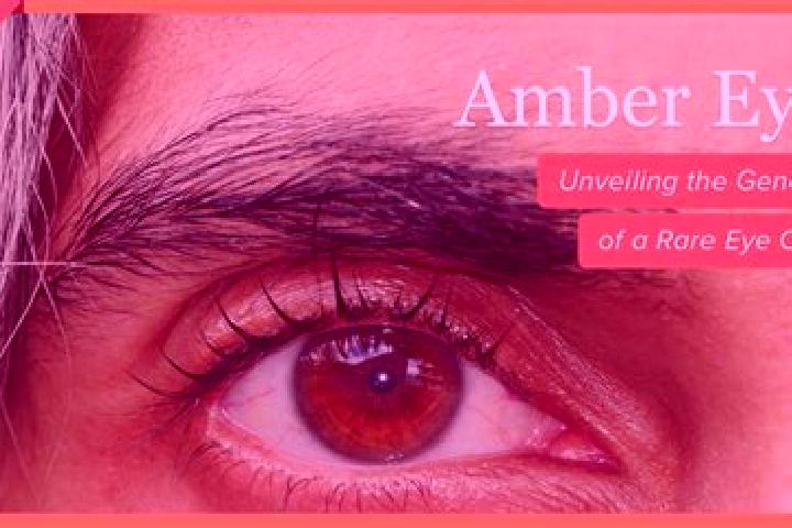 Zoe, 33, a red amber-eyed mediterranean companion based in Pfaffenthal. Offering GFE, Couples, OWO, Girlfriend Experience. Available for incall and outcall, ...