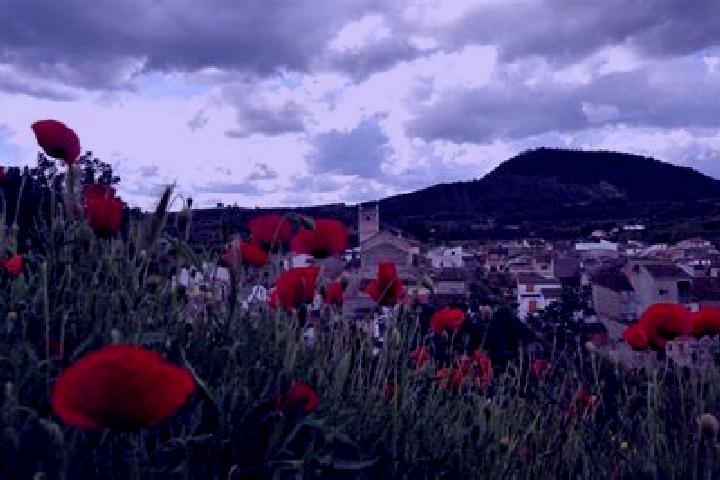 Zoe, 33 — Escort in Bicorp, Spain