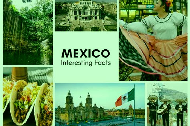 Zoe, 33 — Escort in Ocotequila, Mexico
