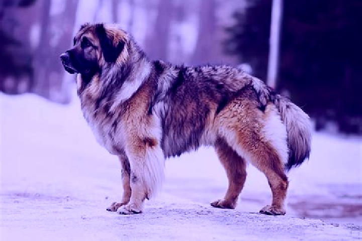 Zoe, 34, a black grey-eyed caucasian companion based in Tsvetochnoye. Offering BDSM, A-Level, Overnight, Striptease. Available for incall and outcall, overni...