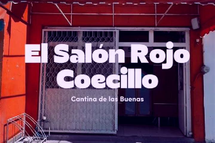 Zoe, 34 — Escort in Coecillo, Mexico