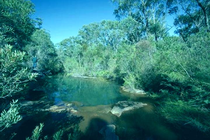 Zoe, 34 — Escort in Pheasants Nest, Australia