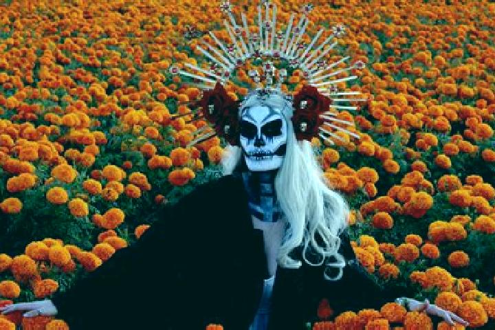 Zoe, 35 — Escort in Miguel Hidalgo Numero Dos (Veinte de Noviembre), Mexico